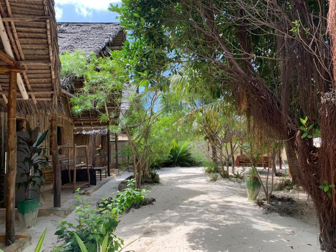 Summer Dream Lodge Paje Ngoại thất bức ảnh