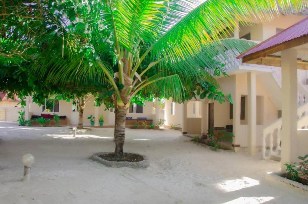Summer Dream Lodge Paje Ngoại thất bức ảnh