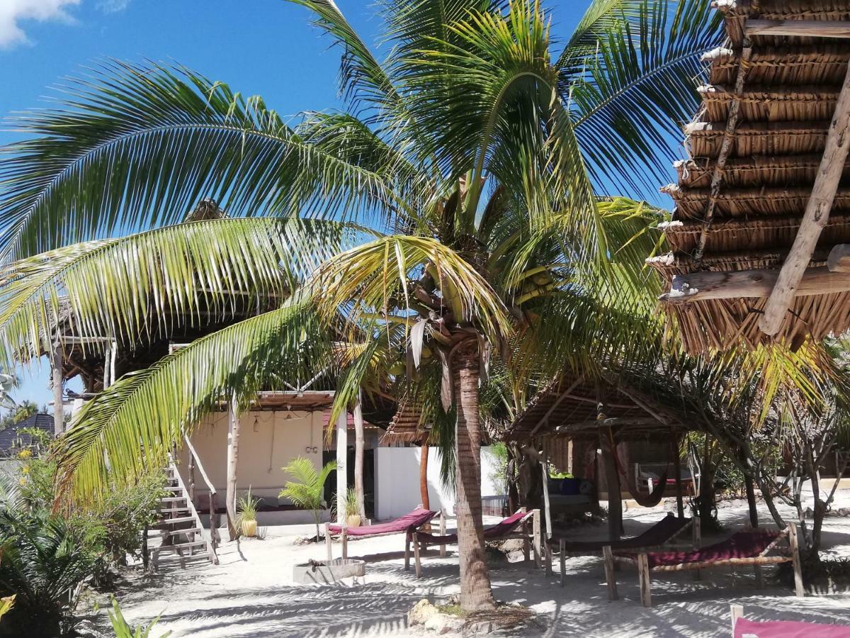 Summer Dream Lodge Paje Ngoại thất bức ảnh