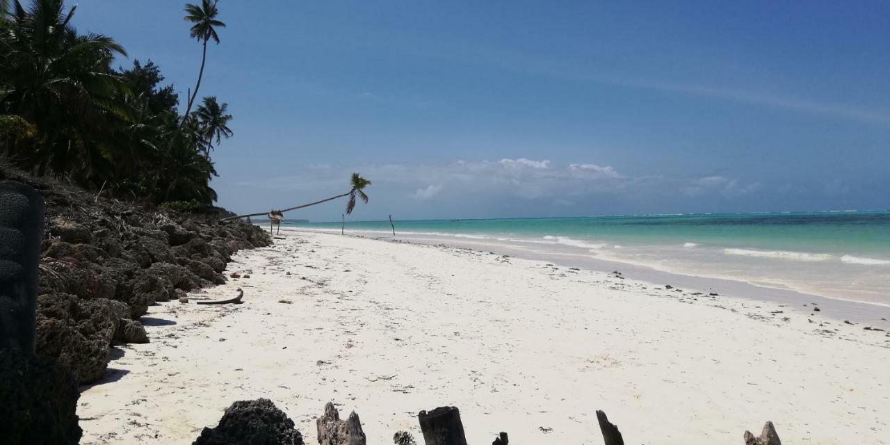 Summer Dream Lodge Paje Ngoại thất bức ảnh